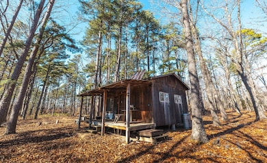 000 Deason Drive-Tract 1, Licking, MO 65542 - photo 7