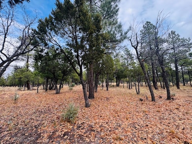 2793 Hummingbird Cir, Happy Jack, AZ 86024 - photo 6