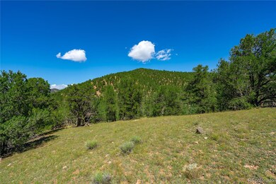 Lot 9 Sundance Rd, Cotopaxi, CO 81223 - photo 6