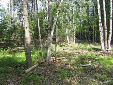 122 Sodom Rd, Center Tuftonboro, NH 03816 - photo 6