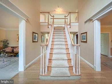 19 Pheasant Run Rd, New Hope, PA 18938 - photo 6