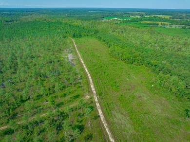 Hunting Swamp Rd, Conway, SC 29526 - photo 6