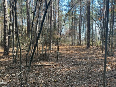 Lot 1 Willie Rd, Seagrove, NC 27341 - photo 7