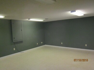 Den in basement