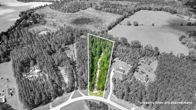 0 Loblolly Ct unit 147244, Newington, GA 30446 - photo 5