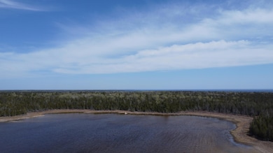 DJI_0751