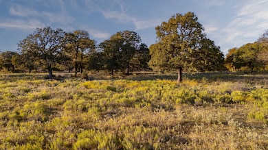 000 E Hackley Rd, Perrin, TX 76486 - photo 2