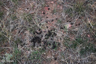 Tract B-6 Broad Axe Rd, Gillette, WY 82718 - photo 6