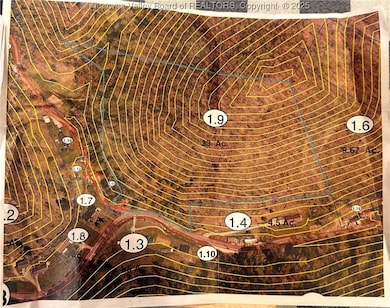 0-1 Dalton Branch Little Harts Creek Rd, Harts, WV 25524 - photo 5