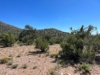 293 Old Deputy Shortline, Ash Fork, AZ 86320 - photo 6