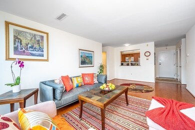 20 Chestnut St unit 41, Cambridge, MA 02139 - photo 3