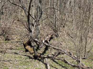 IMG_1578