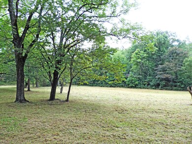 0 Colyer Rd, Greeneville, TN 37743 - photo 7