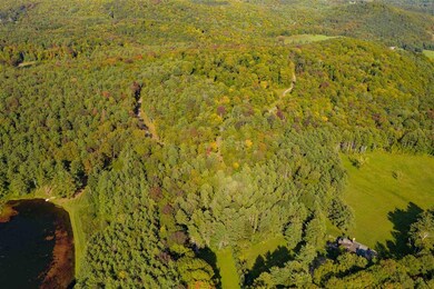 0 Twin Pond Rd, Pomfret, VT 05068 - photo 6