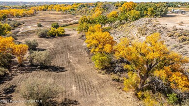 6075 US 64, Bloomfield, NM 87413 - photo 4