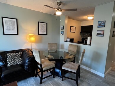 28 Packard's Rd unit 213, Waterville Valley, NH 03215 - photo 7