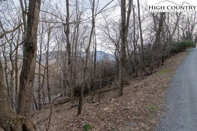 Grandfather Mountain through the trees.