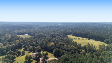 TBD Old Israel Rd, Livingston, TX 77351 - photo 3