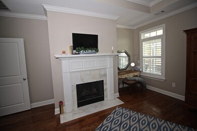 MASTER FIREPLACE