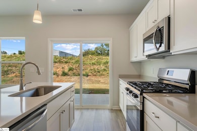 35 Nonnington Way unit Homesite 120, Taylors, SC 29687 - photo 7