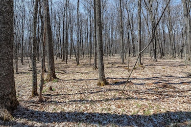 Lots 11-13 Rd, Presque Isle, WI 54557 - photo 7