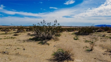 0 Sunny Sands Dr unit ND25103256, Joshua Tree, CA 92252 - photo 5