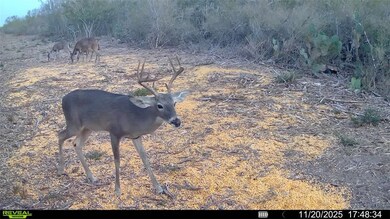 0 Cameron Lane - 40 Acres unit 468248, Fowlerton, TX 78021 - photo 5