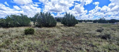 0726221325a_HDR