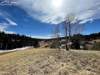 991 Twin Lakes Dr, Divide, CO 80814 - photo 2