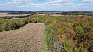 0000 Pawnee Dr, New London, MO 63459 - photo 7