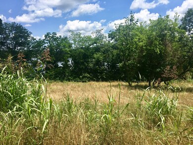 102 Kanutsu Ln, Loudon, TN 37774 - photo 5