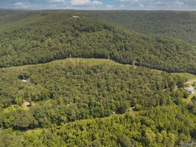 11 acres Stewart Hollow Rd, Grant, AL 35747 - photo 7