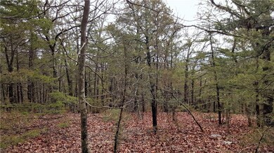 0 Willoughby Lot D Rd unit 1011784, Fayetteville, AR 72701 - photo 3