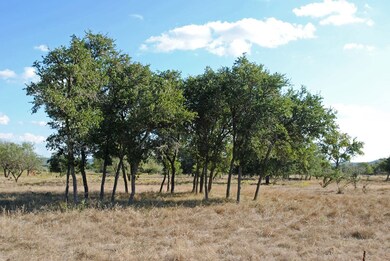 523 Funf Kinder Rd, Fredericksburg, TX 78624 - photo 3