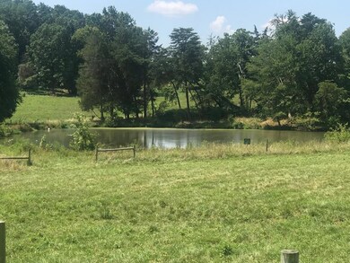 7689 Callands Rd, Chatham, VA 24531 - photo 4