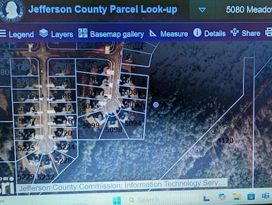 Carousel Image