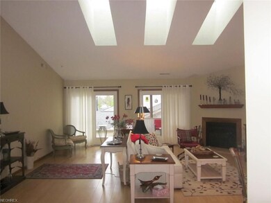 great room vaulted ceilings, skylights, wood burn 