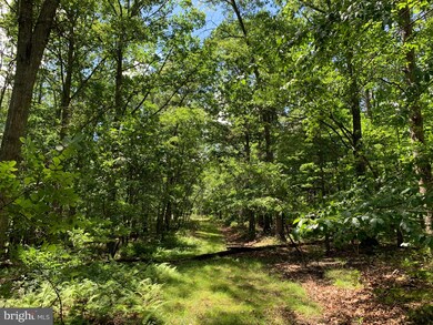 Lot 21 Trout Pass, Lost River, WV 26801 - photo 7