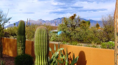 BEST Neighborhood Landscape 3