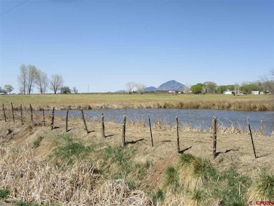 TBD Road L (114 26 Ac), Cortez, CO 81321 - photo 6