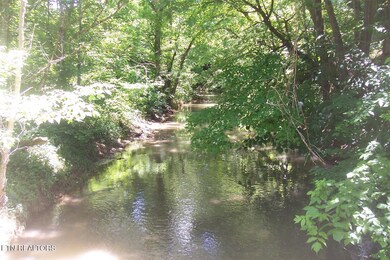 Creek in Back of Property