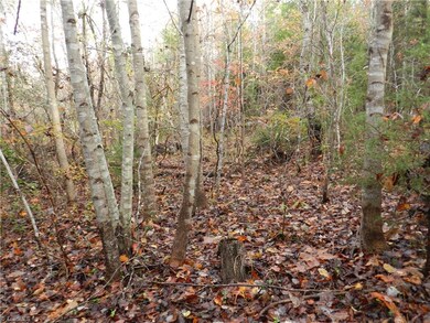 0 Bennett Farm Rd, Asheboro, NC 27205 - photo 3