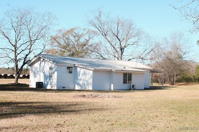 3658 County Road 6636, Banks, AL 36005 - photo 5