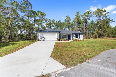 8001 SW 135th Loop, Ocala, FL 34473 - photo 5