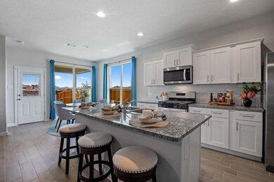 164 Lantana Trail, Boyd, TX 76023 - photo 5