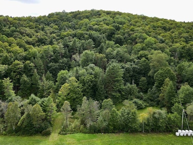 3295 Vermont 113, Vershire, VT 05079 - photo 7