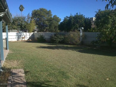 Meseto Backyard II
