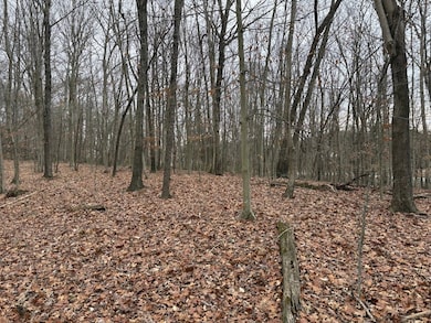 Sr 140 Lot unit Wp 001, Wheelersburg, OH 45694 - photo 6