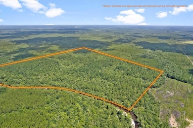 0 Roberson Rd, Hortense, GA 31543 - photo 3