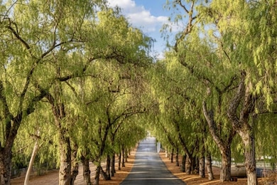 145 Yucca Rd, Fallbrook, CA 92028 - photo 3